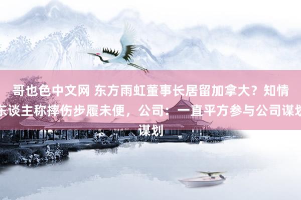 哥也色中文网 东方雨虹董事长居留加拿大？知情东谈主称摔伤步履未便，公司：一直平方参与公司谋划