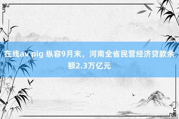 在线av pig 纵容9月末，河南全省民营经济贷款余额2.3万亿元