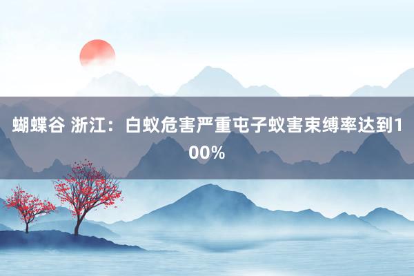 蝴蝶谷 浙江：白蚁危害严重屯子蚁害束缚率达到100%