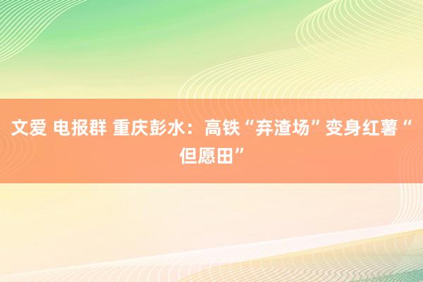 文爱 电报群 重庆彭水：高铁“弃渣场”变身红薯“但愿田”