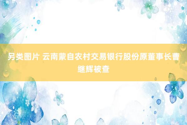 另类图片 云南蒙自农村交易银行股份原董事长曹继辉被查