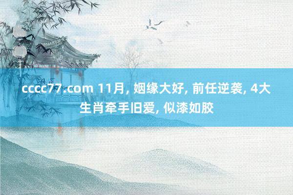 cccc77.com 11月， 姻缘大好， 前任逆袭， 4大生肖牵手旧爱， 似漆如胶