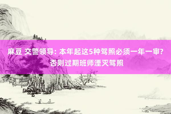 麻豆 交警领导: 本年起这5种驾照必须一年一审? 否则过期班师湮灭驾照