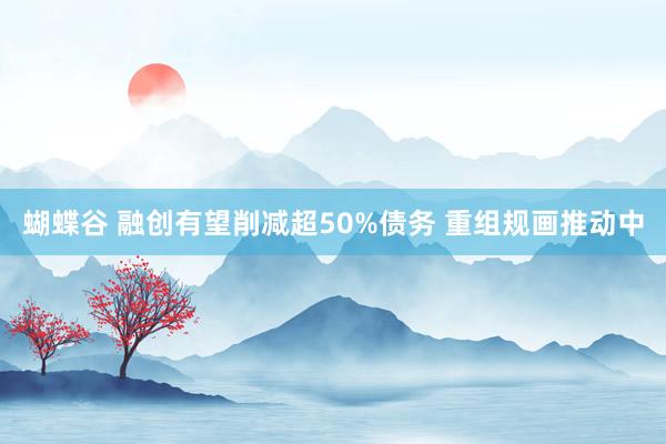 蝴蝶谷 融创有望削减超50%债务 重组规画推动中