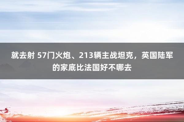 就去射 57门火炮、213辆主战坦克，英国陆军的家底比法国好不哪去