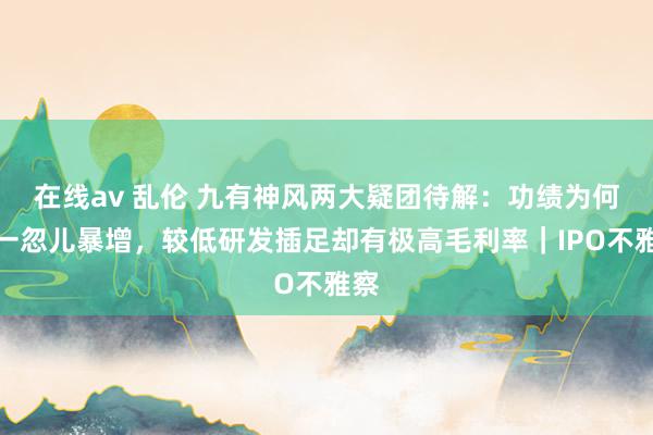 在线av 乱伦 九有神风两大疑团待解：功绩为何曾一忽儿暴增，较低研发插足却有极高毛利率｜IPO不雅察