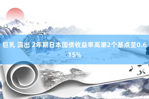 巨乳 露出 2年期日本国债收益率高潮2个基点至0.615%