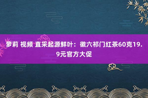 萝莉 视频 直采起源鲜叶：徽六祁门红茶60克19.9元官方大促