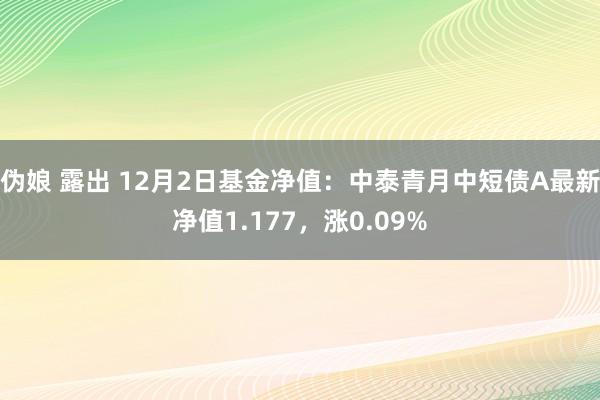 伪娘 露出 12月2日基金净值：中泰青月中短债A最新净值1.177，涨0.09%