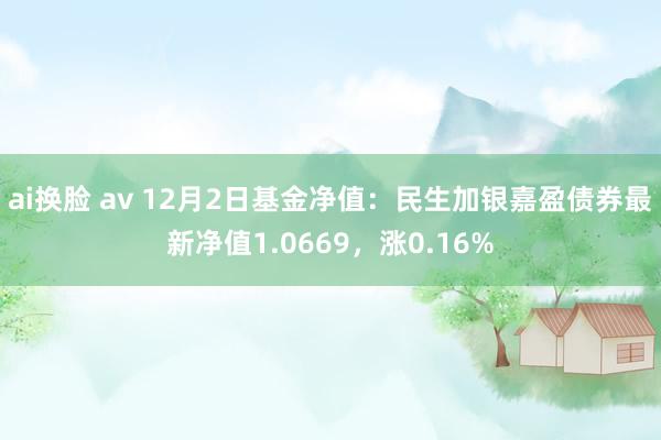 ai换脸 av 12月2日基金净值：民生加银嘉盈债券最新净值1.0669，涨0.16%