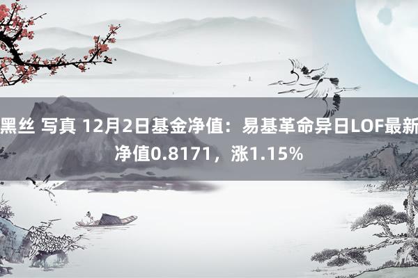 黑丝 写真 12月2日基金净值：易基革命异日LOF最新净值0.8171，涨1.15%