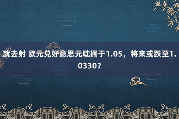 就去射 欧元兑好意思元耽搁于1.05，将来或跌至1.0330？