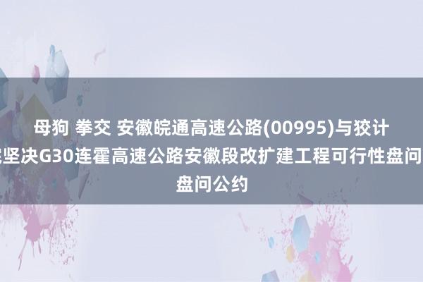 母狗 拳交 安徽皖通高速公路(00995)与狡计总院坚决G30连霍高速公路安徽段改扩建工程可行性盘问公约