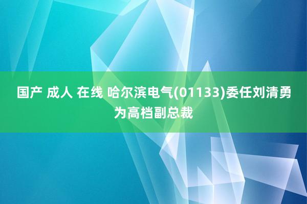 国产 成人 在线 哈尔滨电气(01133)委任刘清勇为高档副总裁