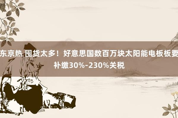 东京热 囤货太多！好意思国数百万块太阳能电板板要补缴30%-230%关税