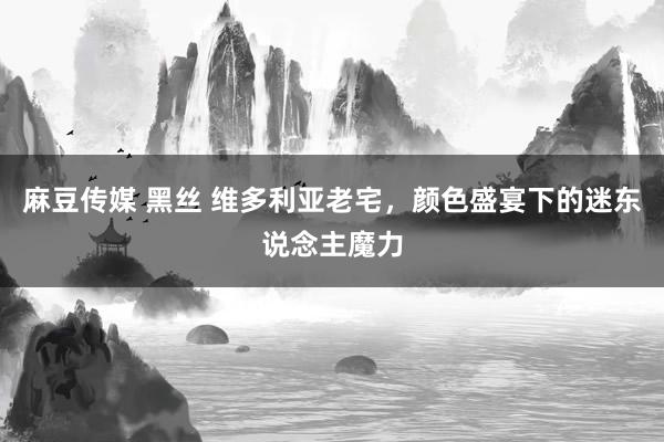 麻豆传媒 黑丝 维多利亚老宅，颜色盛宴下的迷东说念主魔力