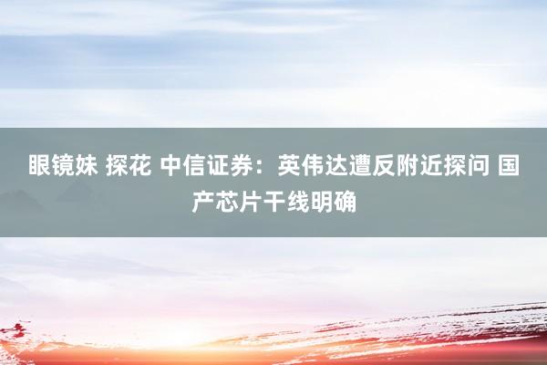 眼镜妹 探花 中信证券：英伟达遭反附近探问 国产芯片干线明确