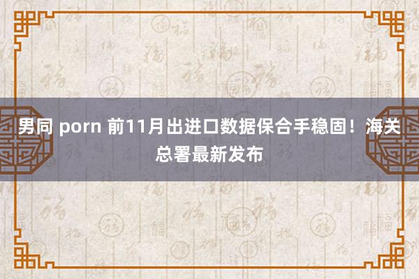 男同 porn 前11月出进口数据保合手稳固！海关总署最新发布