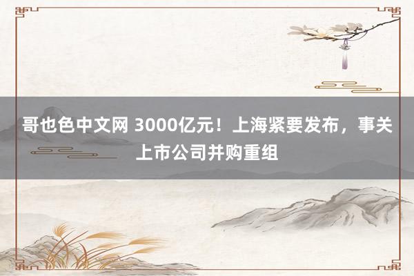 哥也色中文网 3000亿元！上海紧要发布，事关上市公司并购重组