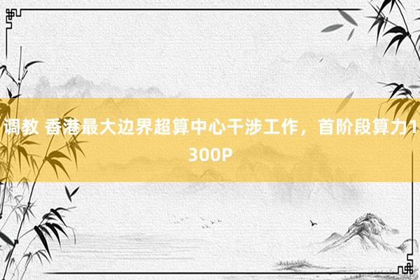 调教 香港最大边界超算中心干涉工作，首阶段算力1300P