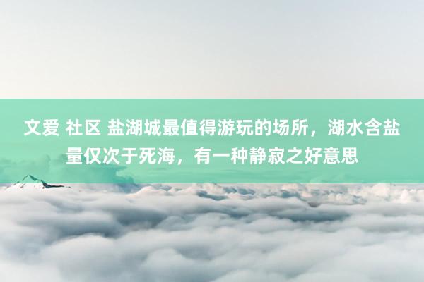 文爱 社区 盐湖城最值得游玩的场所，湖水含盐量仅次于死海，有一种静寂之好意思