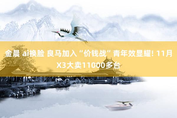 金晨 ai换脸 良马加入“价钱战”青年效显耀! 11月X3大卖11000多台