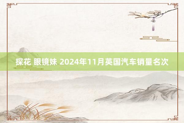 探花 眼镜妹 2024年11月英国汽车销量名次