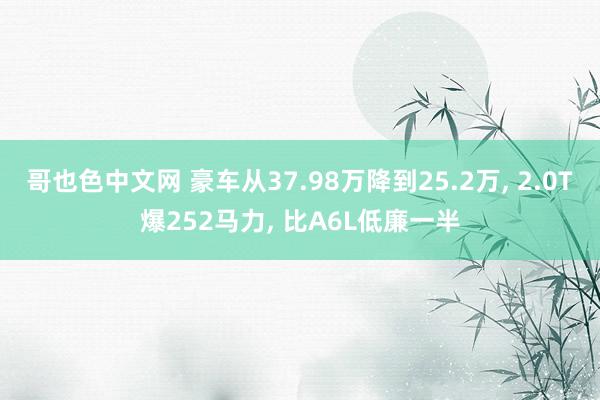 哥也色中文网 豪车从37.98万降到25.2万， 2.0T爆252马力， 比A6L低廉一半