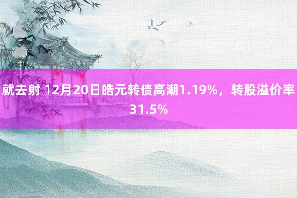 就去射 12月20日皓元转债高潮1.19%，转股溢价率31.5%