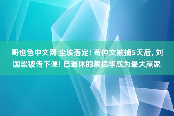 哥也色中文网 尘埃落定! 苟仲文被捕5天后， 刘国梁被传下课! 已退休的蔡振华成为最大赢家