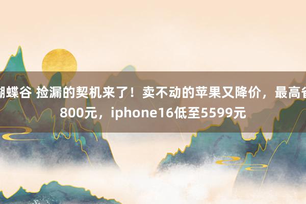 蝴蝶谷 捡漏的契机来了！卖不动的苹果又降价，最高省800元，iphone16低至5599元