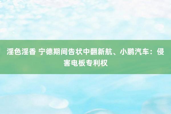 淫色淫香 宁德期间告状中翻新航、小鹏汽车：侵害电板专利权