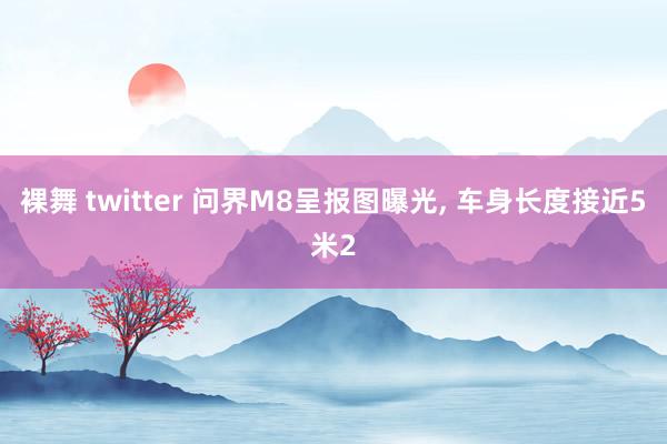 裸舞 twitter 问界M8呈报图曝光， 车身长度接近5米2