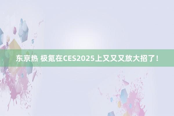 东京热 极氪在CES2025上又又又放大招了！