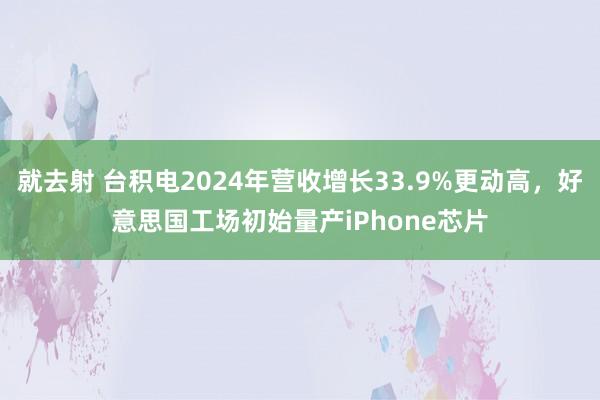 就去射 台积电2024年营收增长33.9%更动高，好意思国工场初始量产iPhone芯片